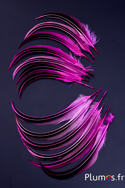 Canard Mandarin - 15-20 cm - fuchsia